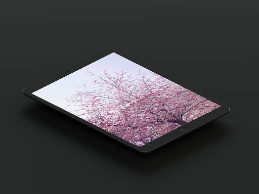 Cherry Blossom Wallpaper screenshot 13