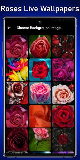 Roses Water Live Wallpaper screenshot 6