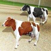Crazy Cow Racing 1.1