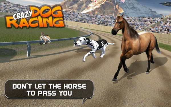 Crazy Dog Racing screenshot 8