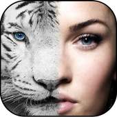 Animal Face Swap 1.0