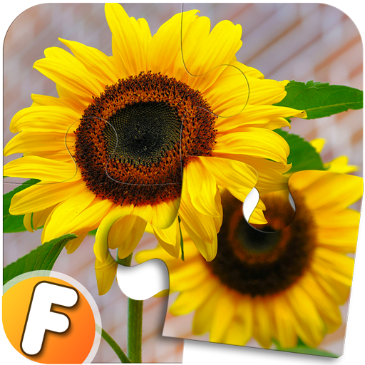 Fluzzles - Puzzle Game for Android icon