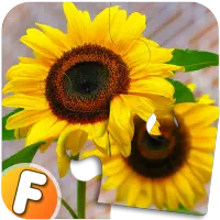 Fluzzles - Puzzle Game for Android