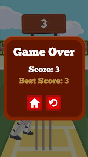 Pro Cricket Champion screenshot 5