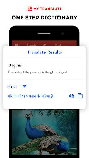 My Translate -Hindi,English,Chat,Voice Translator screenshot 5