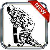 Live Cricket Streaming Online Radio Cricket App