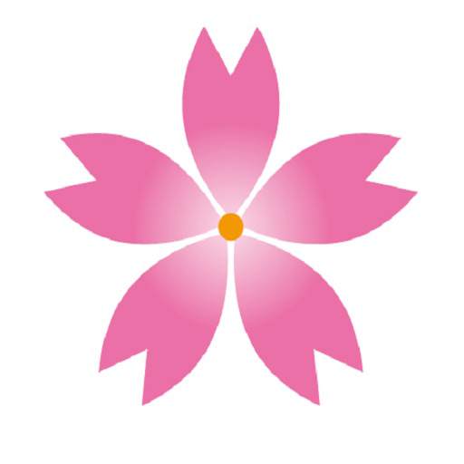 sakura 17