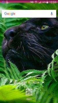 Panther Wallpapers screenshot 1