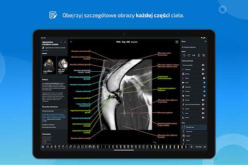 vet-Anatomy screenshot 13