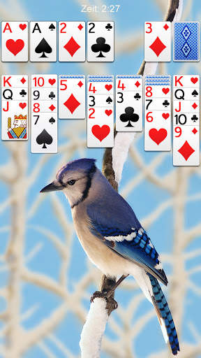 Solitär screenshot 5
