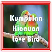 Suara Kicauan Love Bird 1.0