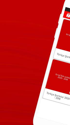 Turkish Offline Songs screenshot 1