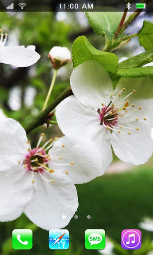 Spring Flowers Live Wallpaper screenshot 5