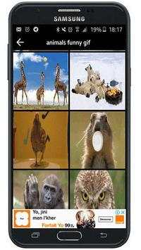 animals funny gif screenshot 1