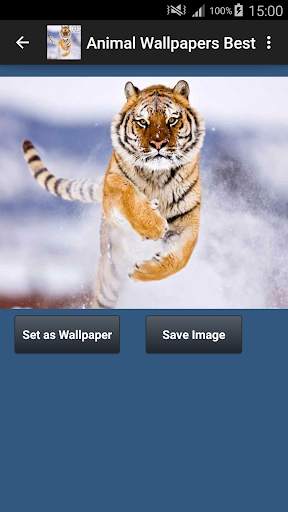 Animal Wallpapers App 🐈🐅🐎 : Animal Background screenshot 2