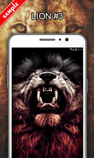 Lion Wallpapers screenshot 4