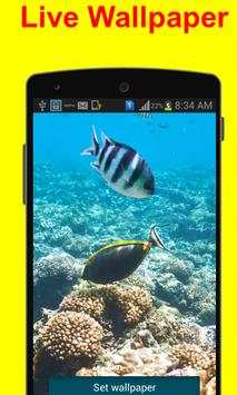 Aquatic HD Wallpaper - Movable screenshot 4
