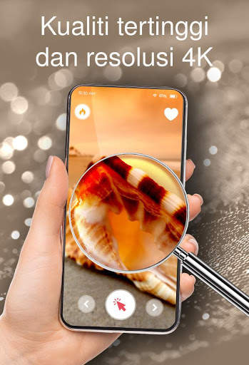 Wallpaper dengan cengkerang screenshot 4