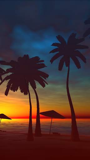 Palms Live Wallpaper screenshot 8