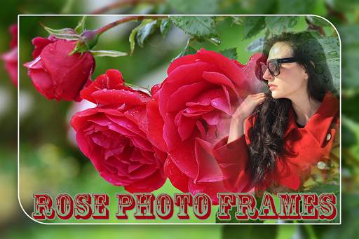 Red Rose Photo Frame screenshot 2