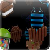 Photo Stream Live Wallpaper 1.1.1