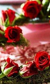 Valentine Roses live wallpaper screenshot 2