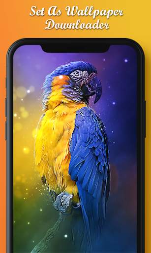 Free Ringtone Sound & HD Wallpapers screenshot 4