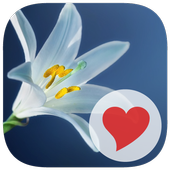 570 Pics icon