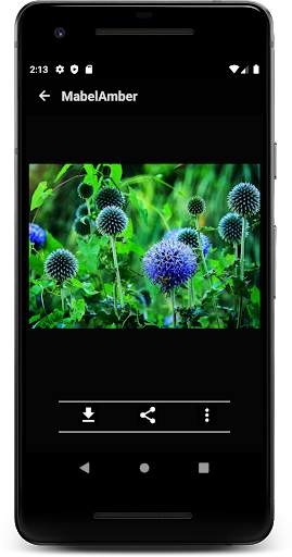 New Images Downloader screenshot 5