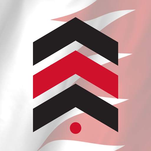 Arabian Auction 1.2.7