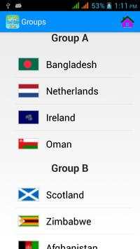 Cricket World Cup T20  16 screenshot 5