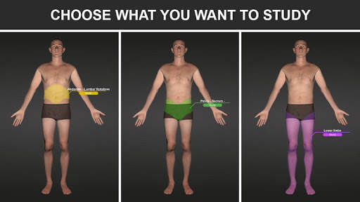 RX - Radiographic Positioning screenshot 2