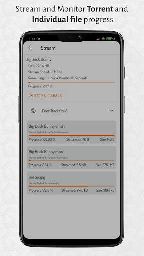 Storrent - Torrent Streamer & Downloader screenshot 4