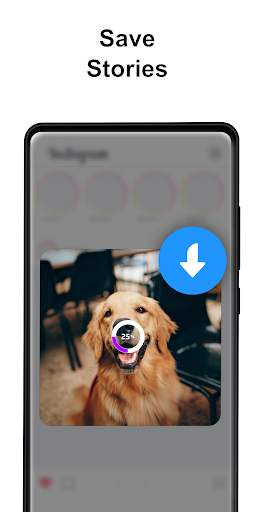 All Video Downloader 2022 screenshot 5