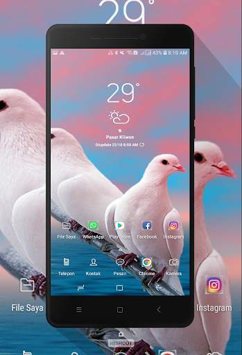 Dove Wallpaper screenshot 3