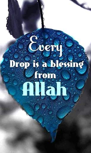 Islamic Truth Quotes screenshot 3
