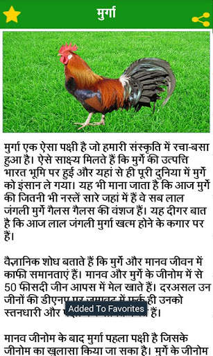 Birds Information in Hindi screenshot 5