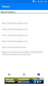 Flash Browser screenshot 6