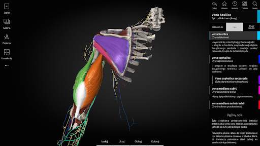 Anatomyka - Anatomia 3D screenshot 12