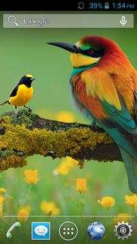 Cortar Pegar Photo Editor screenshot 7