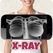 X-Ray Body Clothes Scanner