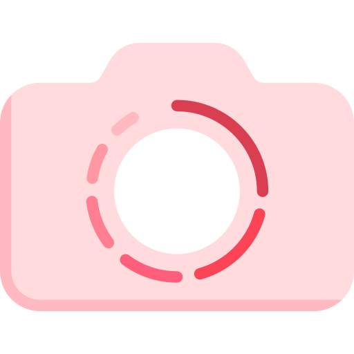 Pickup Camera 0.334