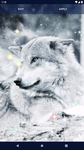 Night Wolf Live Wallpaper screenshot 7
