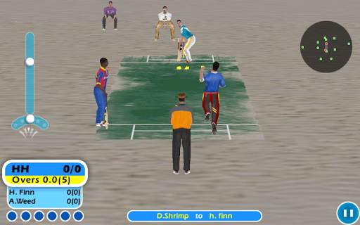 Beach Cricket screenshot 5