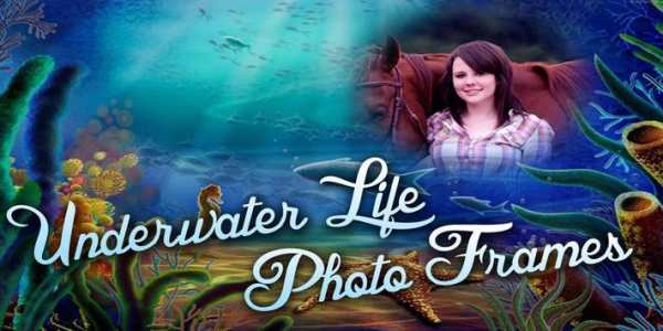 Underwater Life Photo Frame 1 تصوير الشاشة