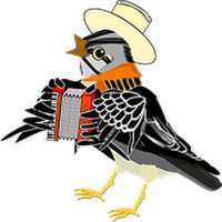 Singing bird