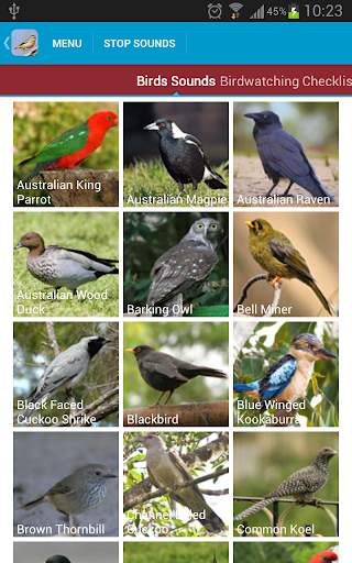 Australian Birds Sounds Free स्क्रीनशॉट 2