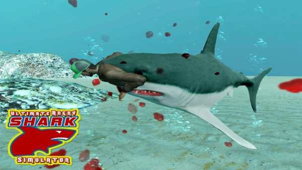 Angry Shark Simulator Game 3D screenshot 15