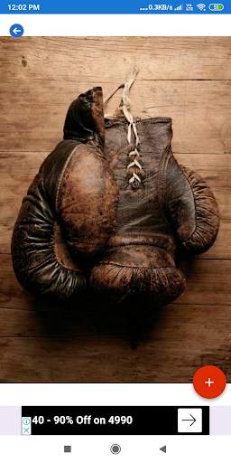 Boxing HD Wallpapers screenshot 7