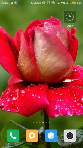 Flower wallpaper screenshot 5